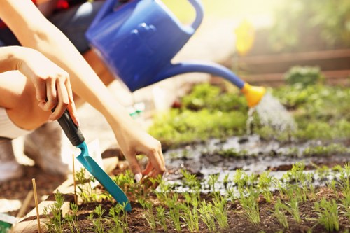 Gardener raking leaves in a Sidcup front garden