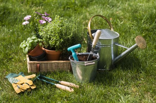 Garden maintenance workers pruning and planting in a suburban Sidcup garden