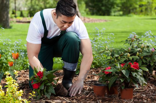 Gardener demonstrating inclusive on-site assistance at a Sidcup property