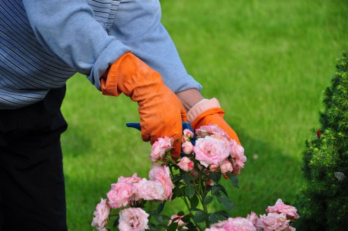 A gardener wearing bright orange gloves is shown tending to a flowering pink shrub in a well-maintained garden. The shrub features numerous delicate pink blooms with layers of petals, set against vibrant green foliage. The garden has a lush, evenly cut lawn in the foreground, with a neatly bordered flower bed visible on the right side, containing additional greenery and small red flowers. In the background, there are tall, leafy trees and a hedge that provides privacy and structure to the outdoor space. The scene appears to be captured on a mild, partly cloudy day, with natural daylight illuminating the garden. This image reflects professional gardening care that could be offered by a company such as Gardening Services Sidcup, highlighting maintenance and planting tasks typical of high-quality garden management in the Sidcup area, within the post code region of DA15, supporting local outdoor gardening and landscaping services.