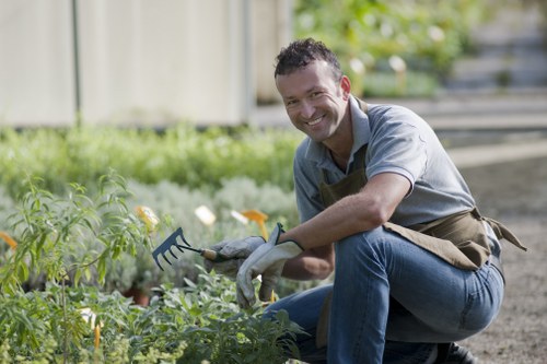 A man with short dark hair and a beard, wearing a grey t-shirt, blue jeans, and gardening gloves, is crouching in a garden during daylight hours. He is smiling while tending to a patch of green plants, possibly vegetables or herbs, using a small garden fork. The garden features a well-maintained lawn area with lush, dense grass in the background, along with wooden fencing and a garden bed bordered by soil. Behind him, there are plants of varying heights, some with yellow flowers, indicating a diverse garden environment. The scene is outdoors, illuminated by natural sunlight, and appears to be in a typical residential setting within Sidcup, suggesting professional gardening or landscaping services. The overall environment is neat and well-kept, emphasizing outdoor maintenance and garden care with a focus on cultivating healthy plants in a structured garden layout.
