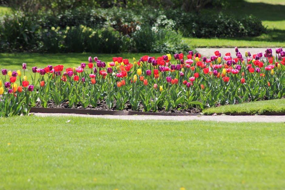 The image depicts a well-maintained garden area within Lamorbey Park, featuring lush, vibrant green grass bordered by neatly trimmed edges. In the foreground, there are flower beds filled with colourf